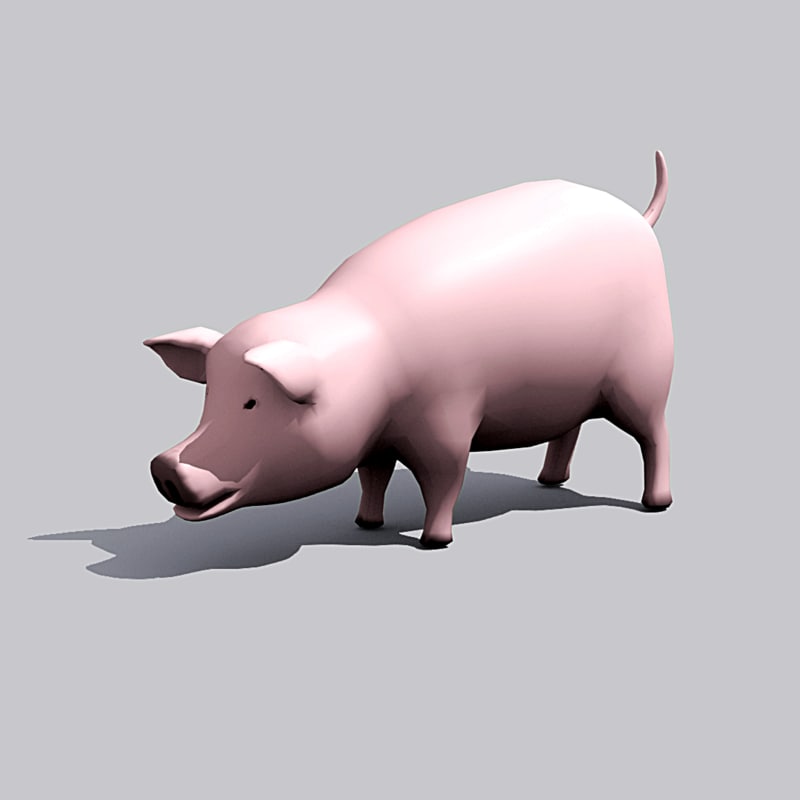 3d model pig