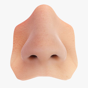 3d model realistic human nose