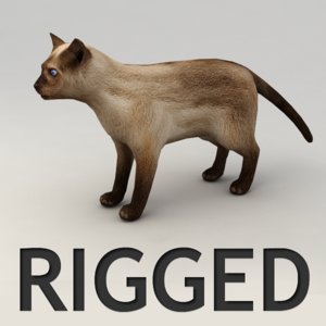 rigged siamese cat 3d model