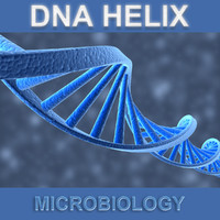 DNA Helix