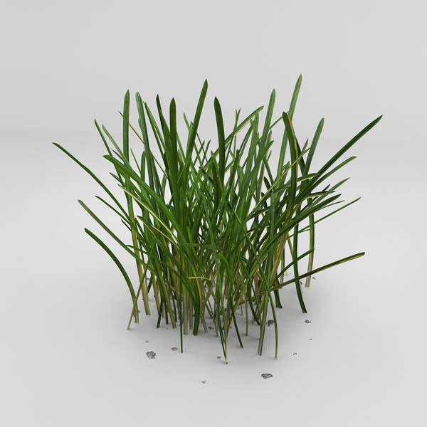 photorealistic grass 3d model
