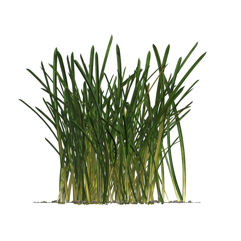 Dress, UK Size 12