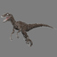 velociraptor dinosaur din00 3d c4d