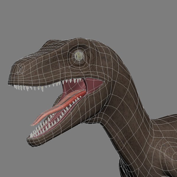 dinosaur velociraptor 3d