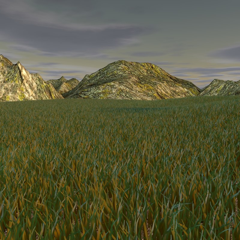 grassland grass 3d model
