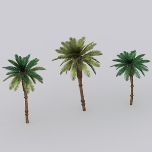 3d model date palm tree