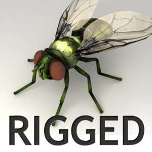 3d fly rigged biped