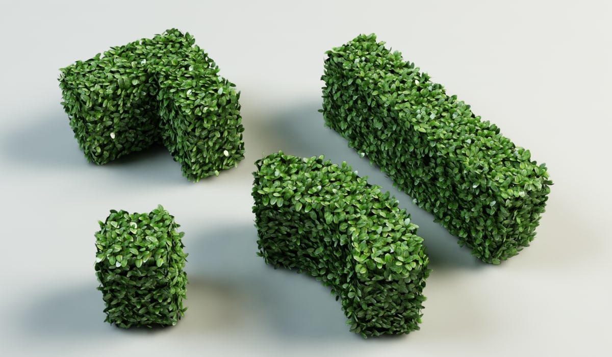  3d  model  hedge bushes