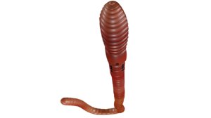 bisexual animal earth worm 3d model
