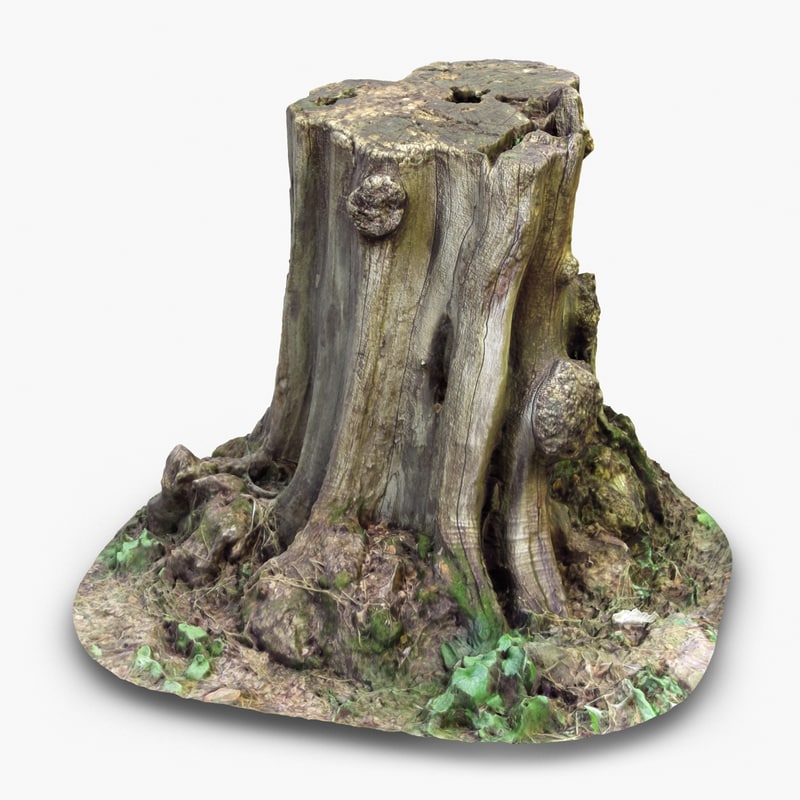 tree stump 1 3d model
