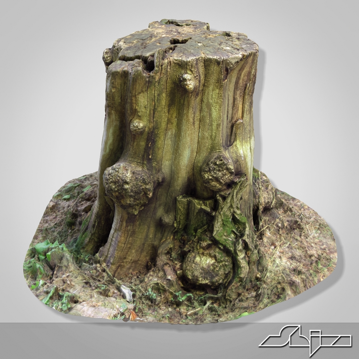 tree stump 1 3d model