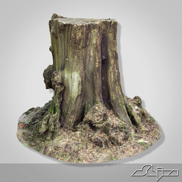 tree stump 1 3d model