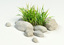 3ds max grass stones