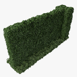 green ivy wall 3d c4d