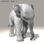 maya photorealistic baby elephant animation