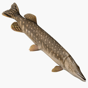 3ds max pike fish