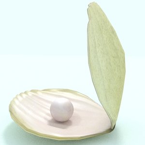 pearl shell 3d model