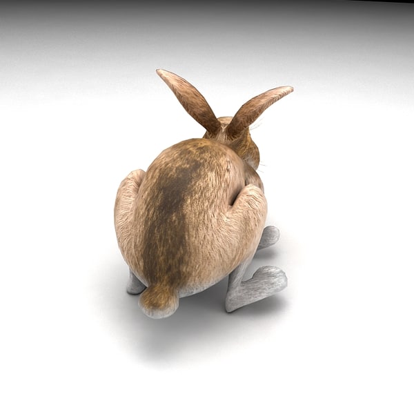 rabbit animation 3d fbx