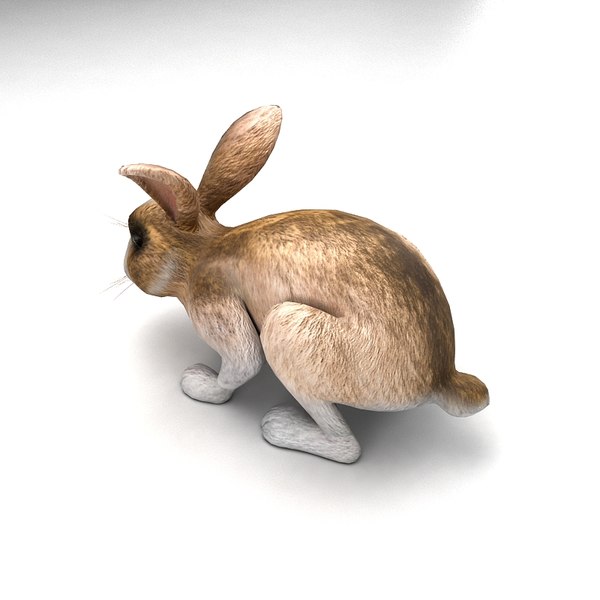 rabbit animation 3d fbx