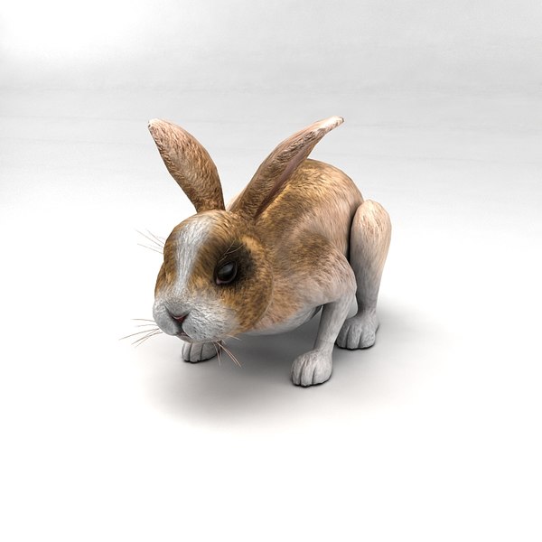 rabbit animation 3d fbx