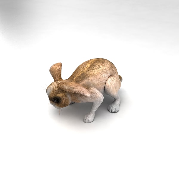 rabbit animation 3d fbx