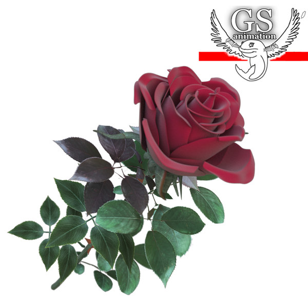 Rose Hotel