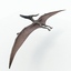 3d pteranodon dinosaur model