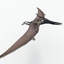3d pteranodon dinosaur model