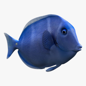 3d model tropical fish
