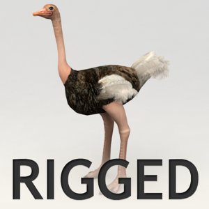 3d model ostrich rigged biped