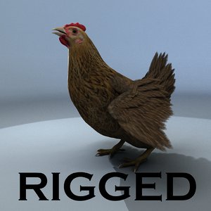 chicken rig animation 3d model