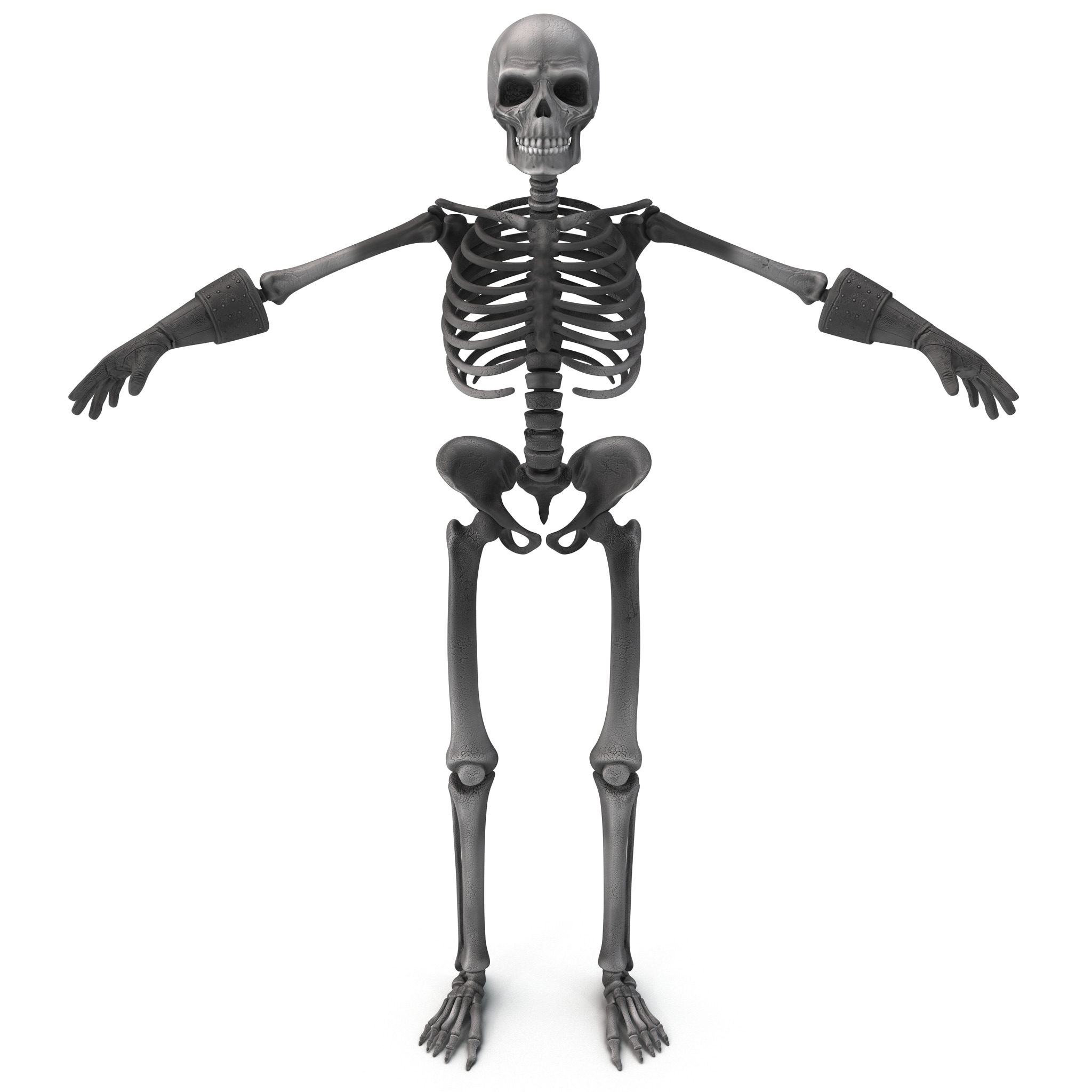 Cartoon Skeleton 2 Max 