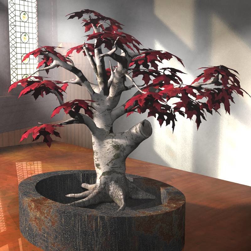 Obj Red Maple Bonsai Tree