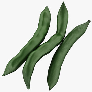 green beans 2 3d model