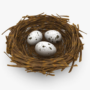 3d model bird nest
