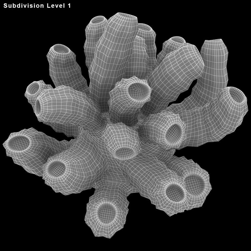 sea sponges 3d model