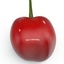 sour cherry 3d 3ds