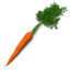 3d carrot 2 model