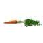 3d carrot 2 model