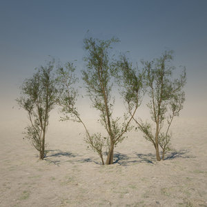 desert tree 3d max