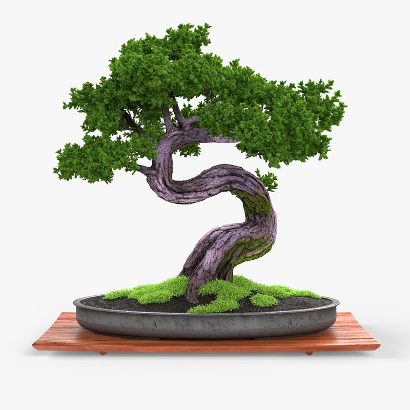 bonsai 3d download