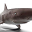 sea predator 3d model