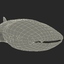 sea predator 3d model