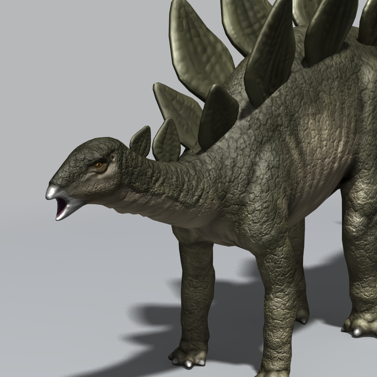 stegosaurus in 3d