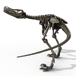 velociraptor skeleton animator 3d ma