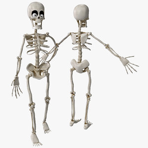 max cartoon skeleton rigged