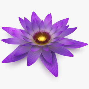 realistic flower 3d model