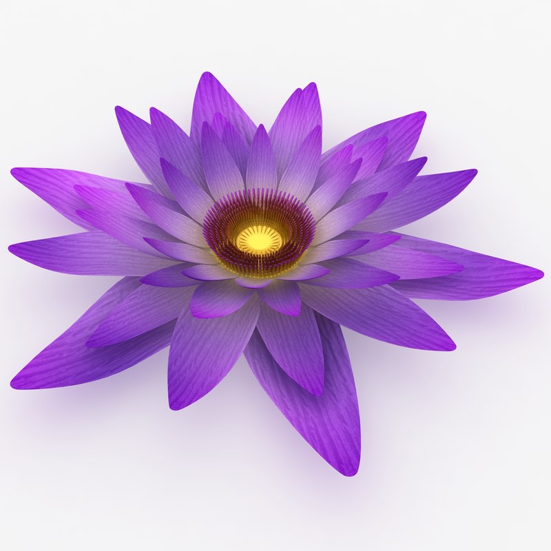 realistic flower 3d model