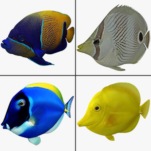 3ds max tropical fish