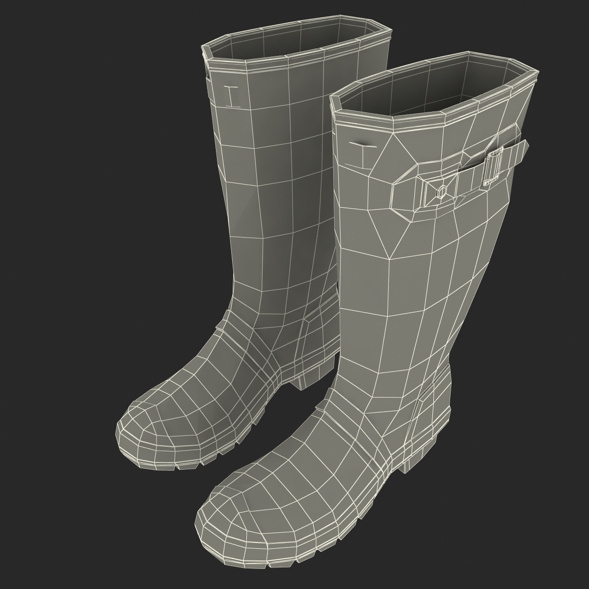 rain boots 3d max